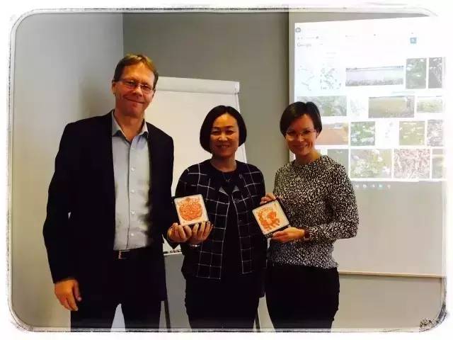 4.webp.jpg 红桃视频