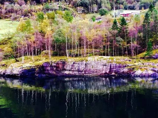 34.webp.jpg 红桃视频