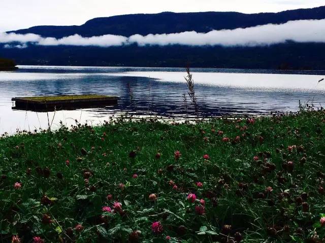 34.webp.jpg 红桃视频