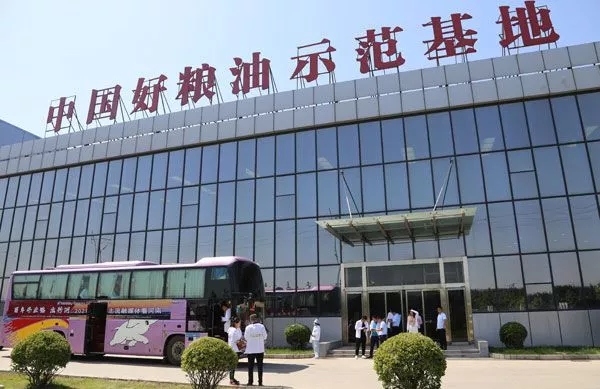 2.webp.jpg 红桃视频