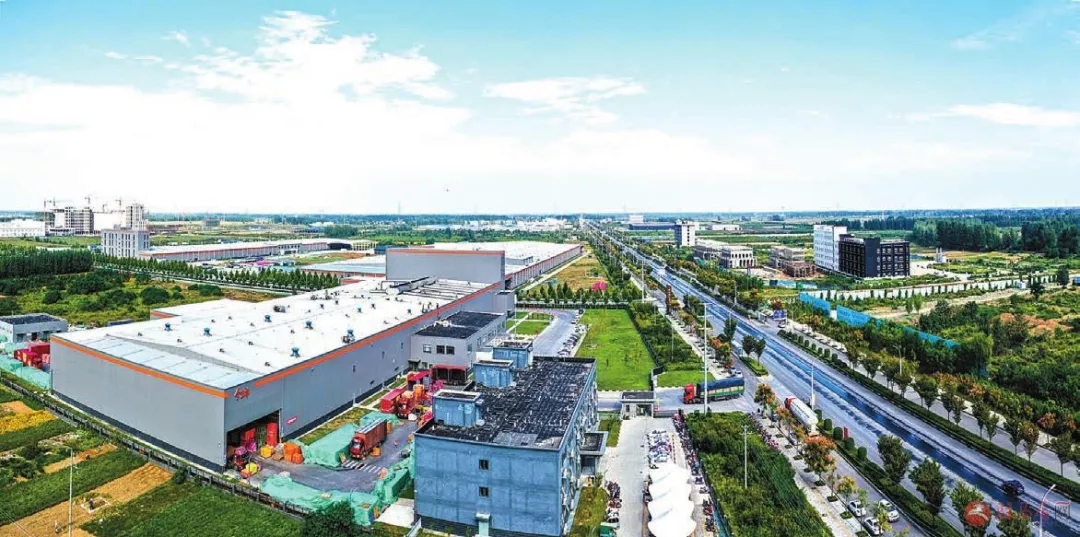 5.webp (1).jpg 红桃视频