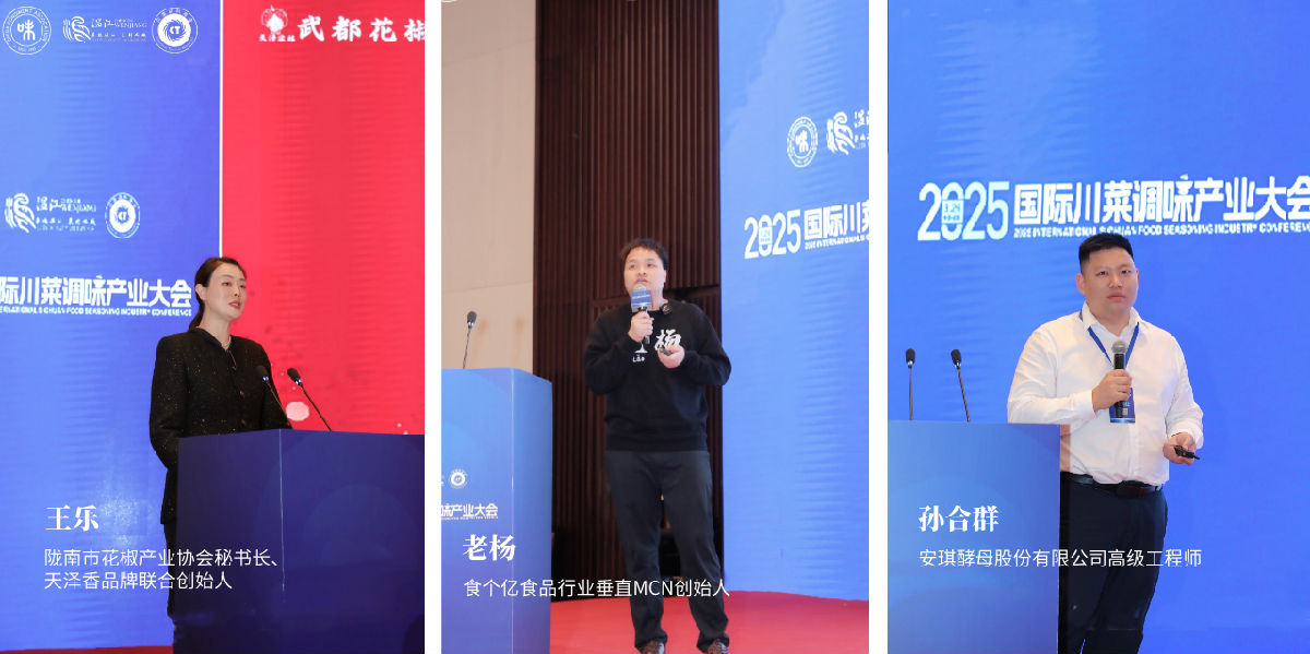 拼图2.png 红桃视频